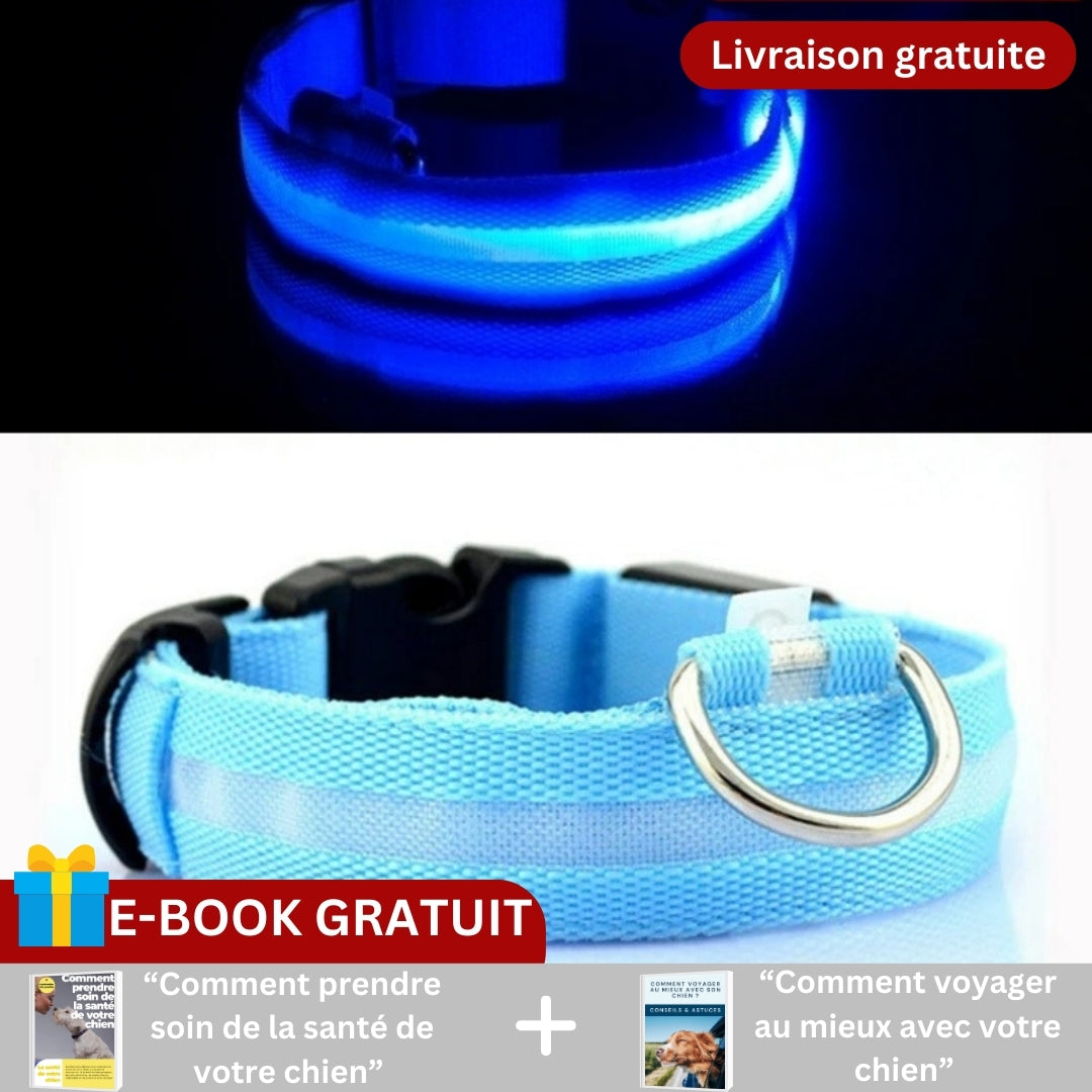 Collier pour chien | SAFESHINE™