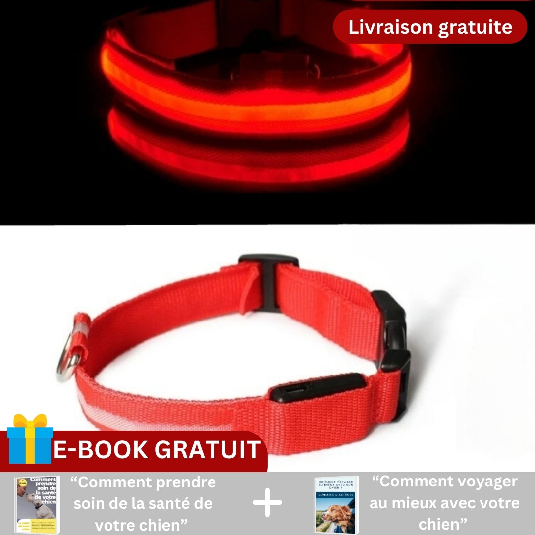 Collier pour chien | SAFESHINE™