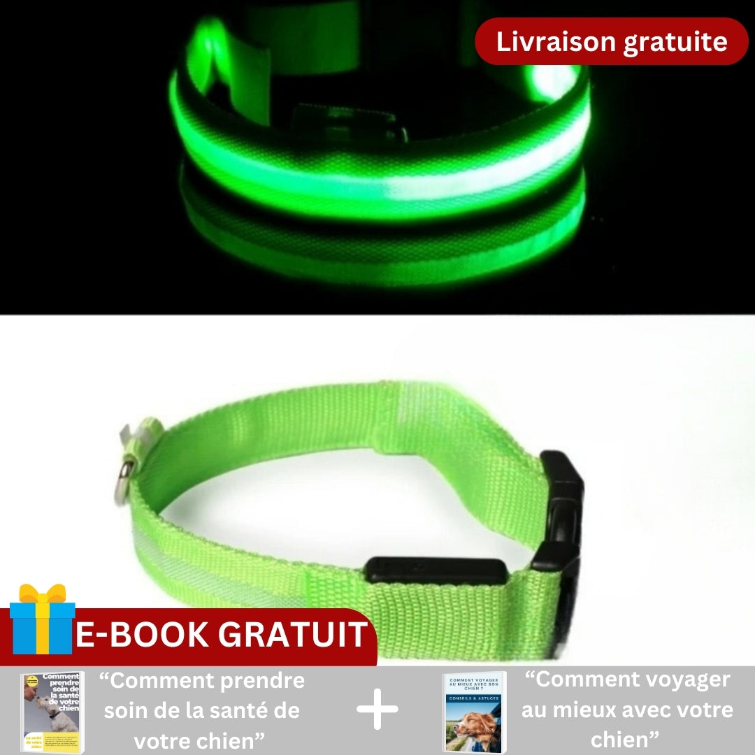 Collier pour chien | SAFESHINE™