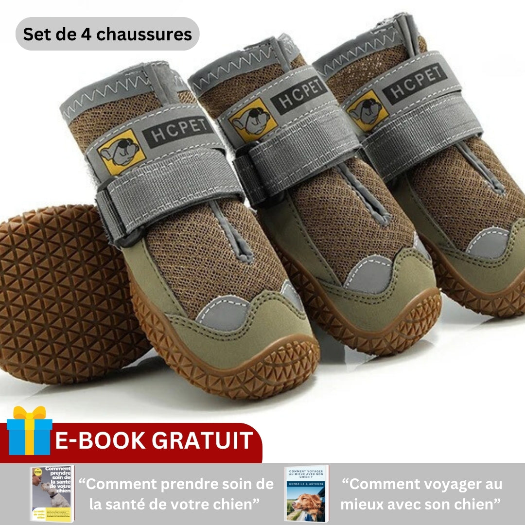 Chaussures pour chien | PODOGARDE™