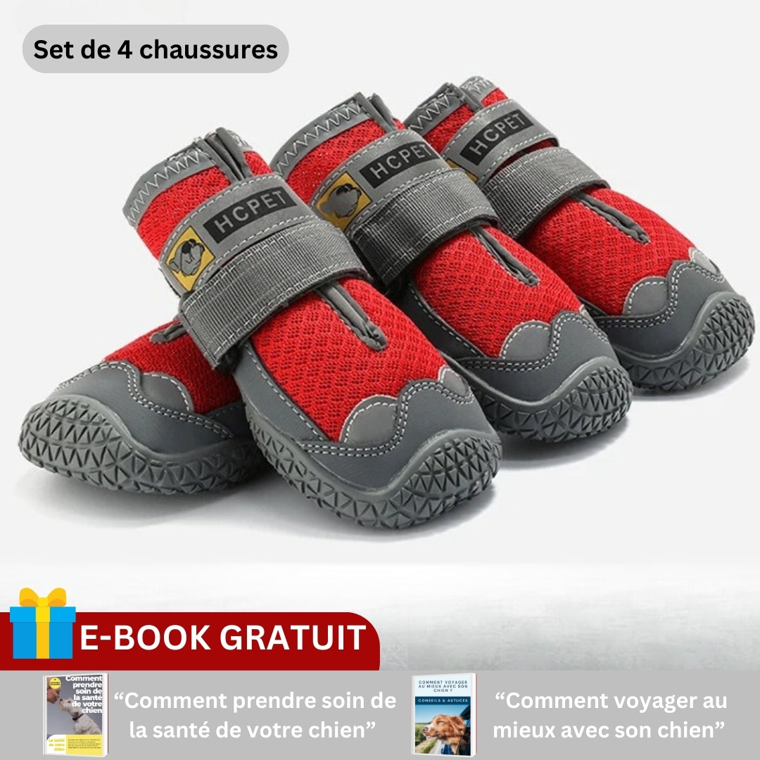 Chaussures pour chien | PODOGARDE™
