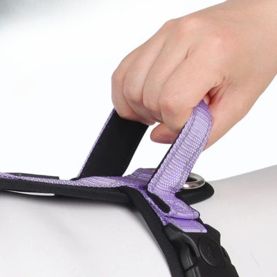 Harnais pour chien | Confort-H™