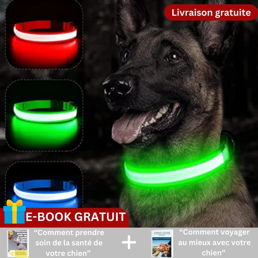 Collier pour chien | SAFESHINE™