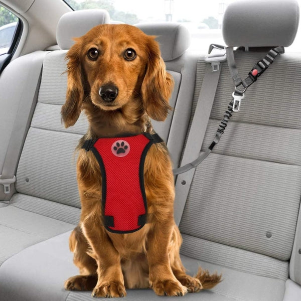 ceinture-voiture