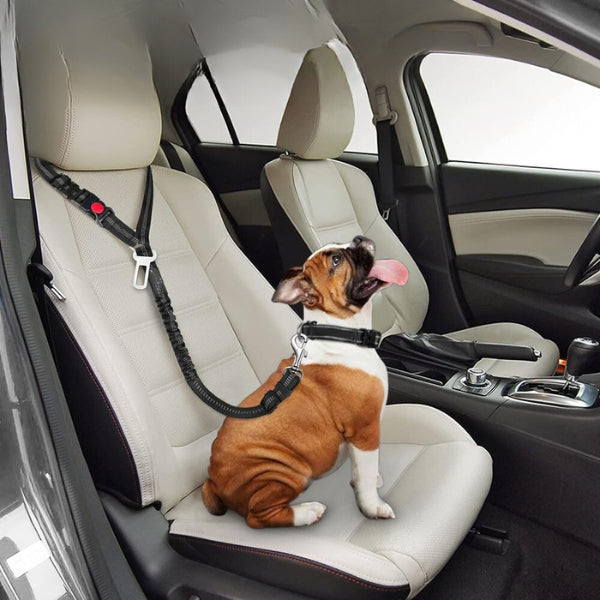 ceinture-voiture