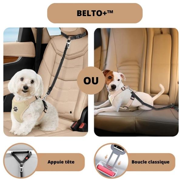 ceinture-voiture