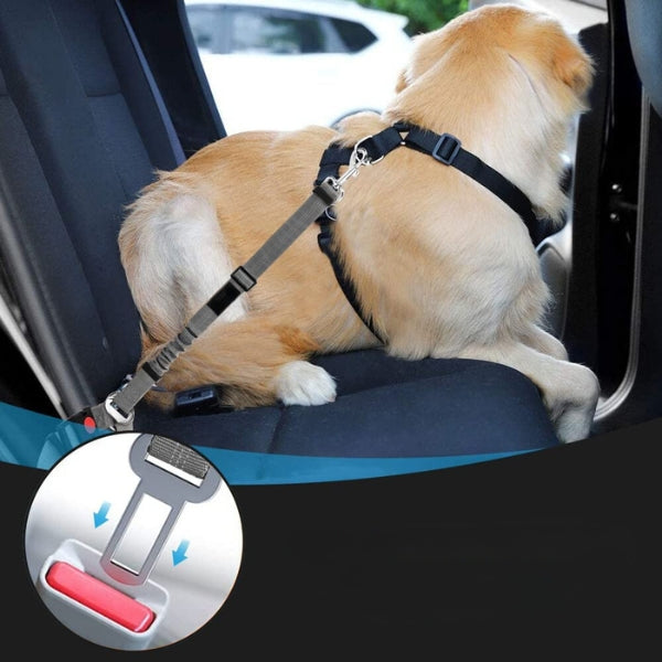 ceinture-voiture-chien