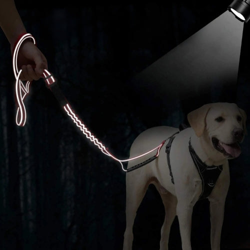 une-laisse-pour-chien