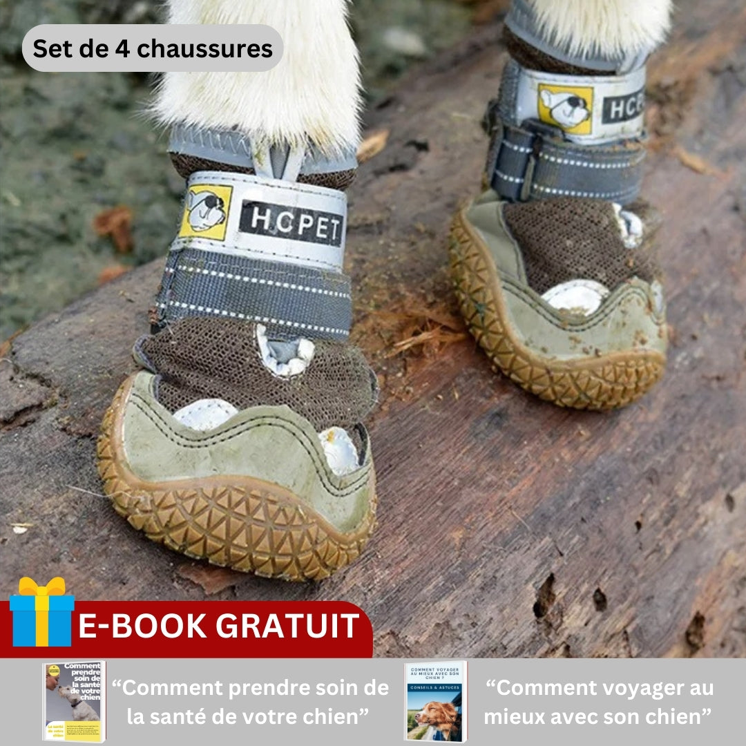 Chaussures pour chien | PODOGARDE™