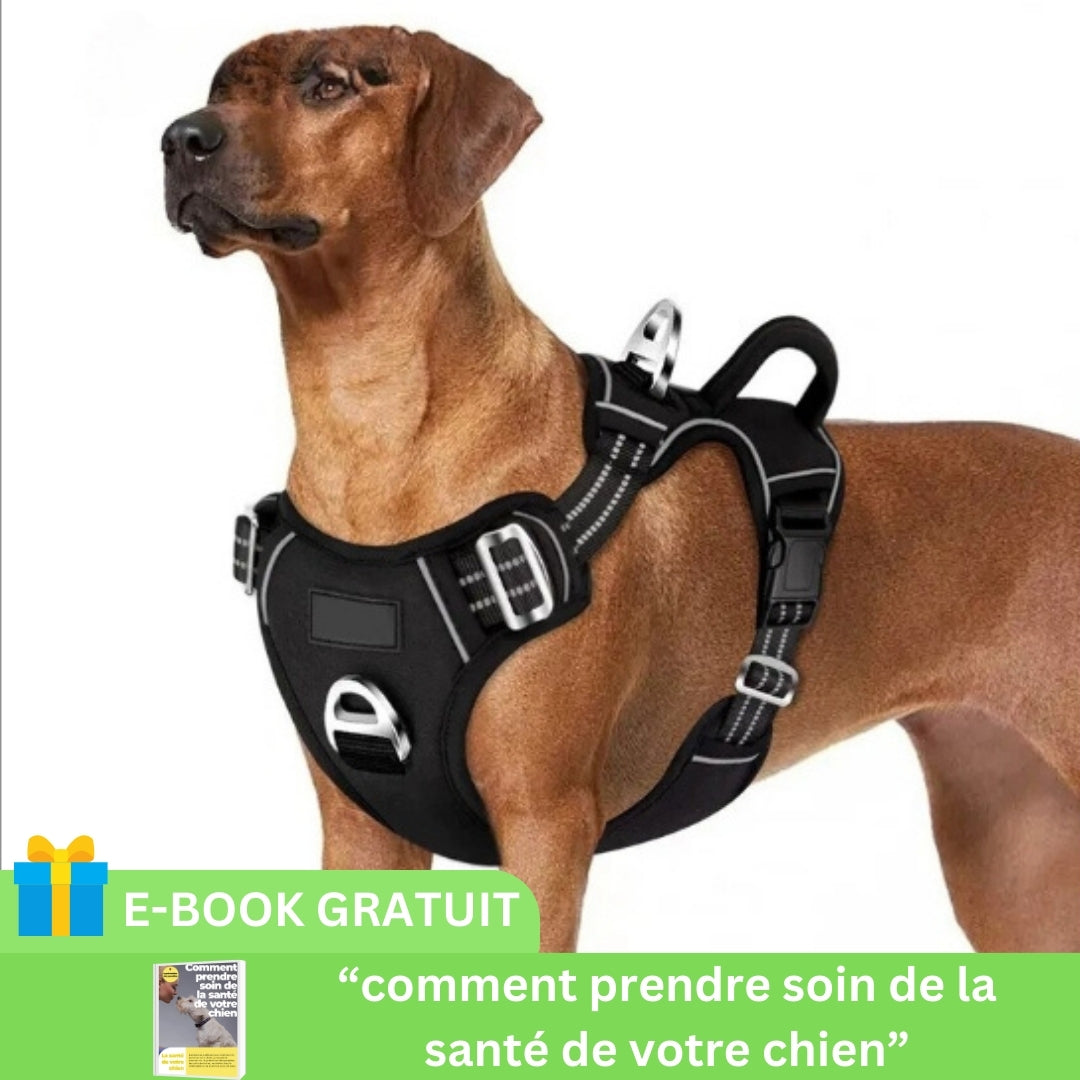 HARNAIS ANTI TRACTION CHIEN | ChienChic™