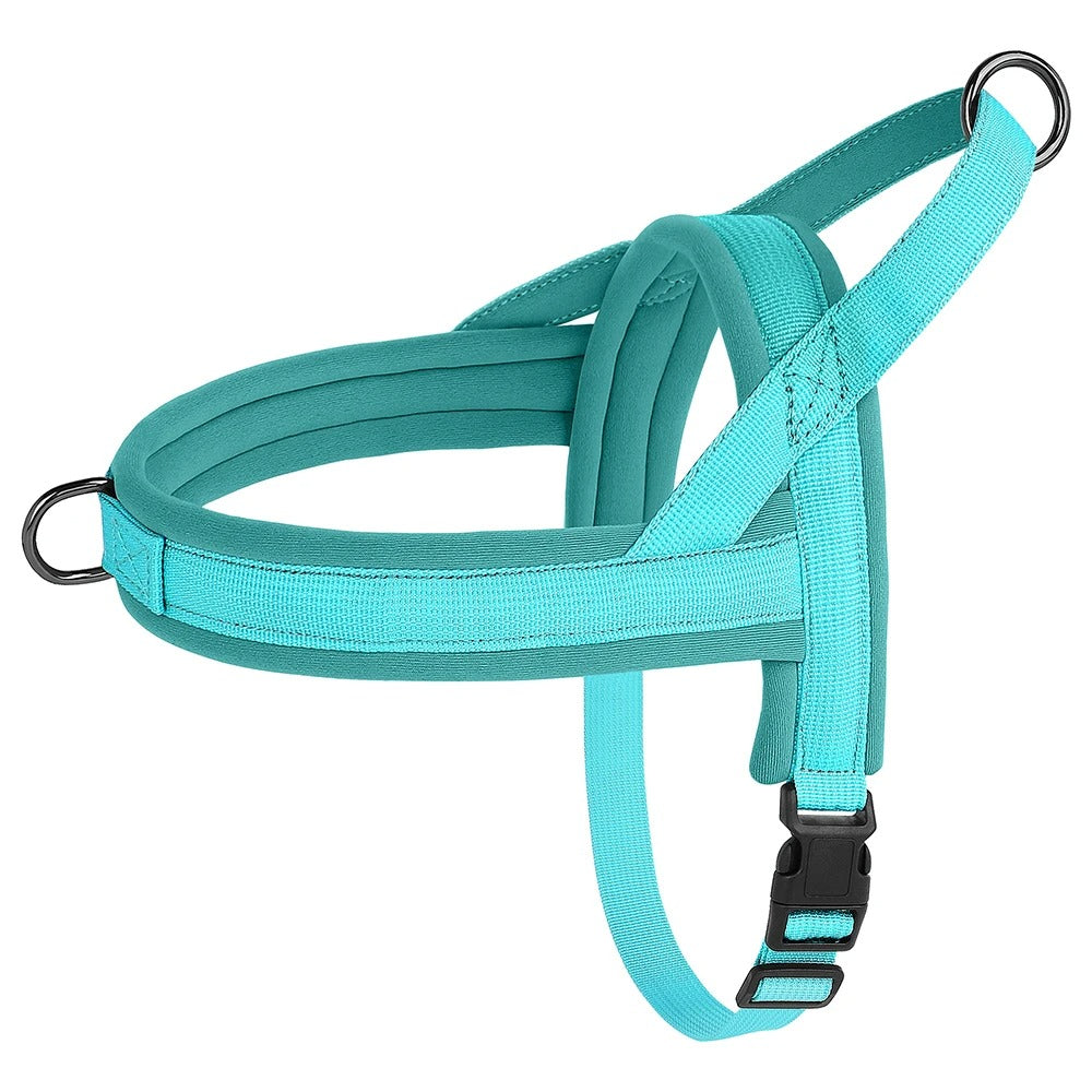 Harnais bleu turquoise minimaliste pour chien, vu de profil sur fond blanc, avec boucles et anneaux métalliques noirs.