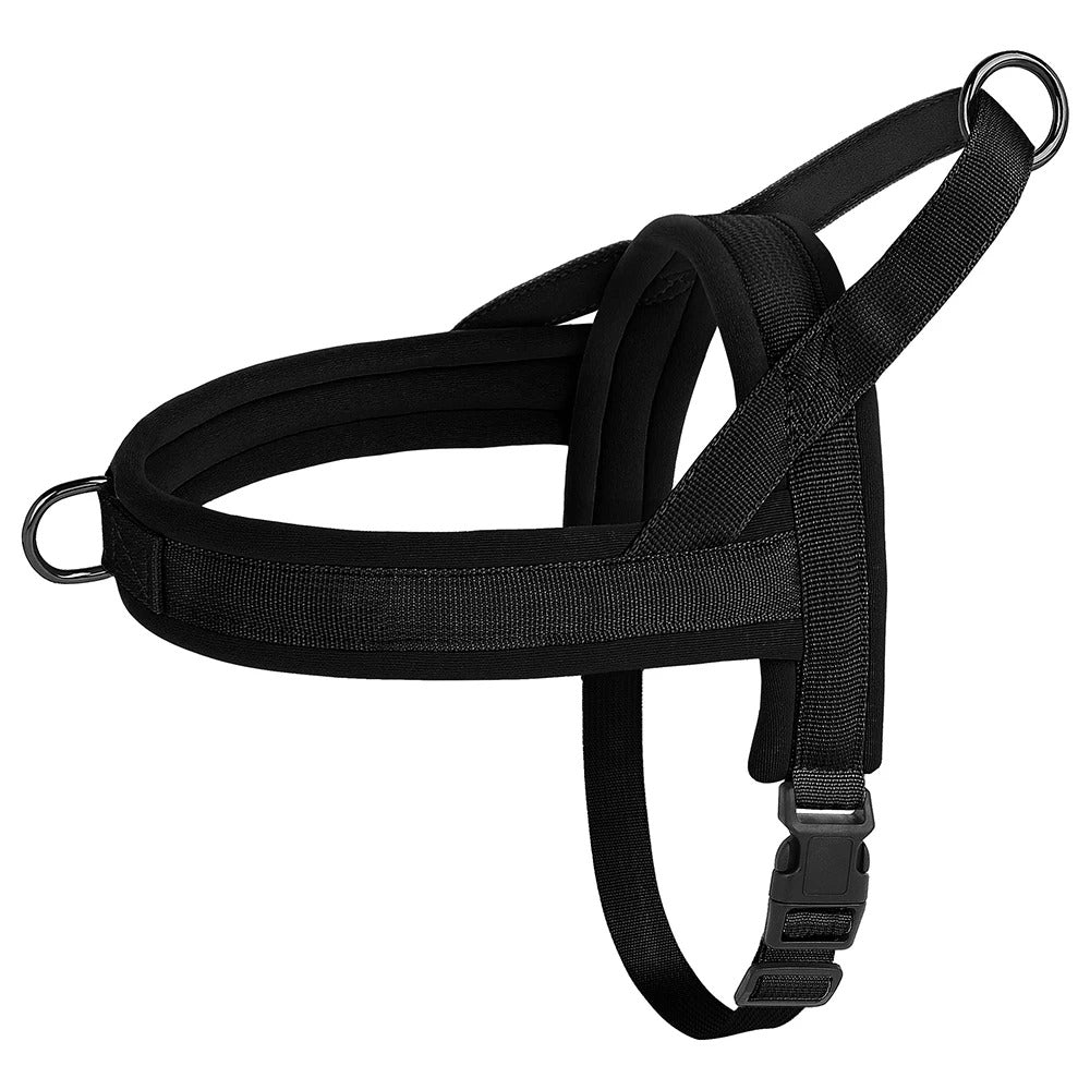 Harnais noir minimaliste pour chien, présenté sur fond blanc, avec deux anneaux métalliques et des sangles réglables.