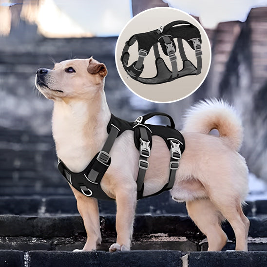 harnais-pour-chien