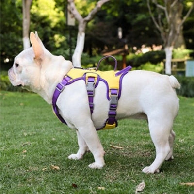 harnais-pour-chien