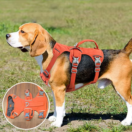 harnais-pour-chien