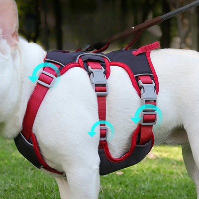 harnais pour chien | GUARDIANPRO™