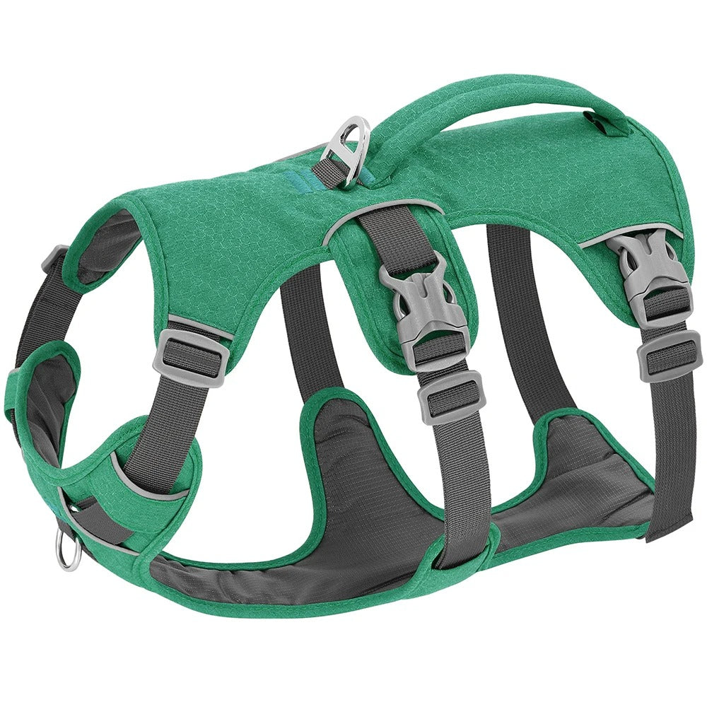 Harnais pour chien | Adventure+™