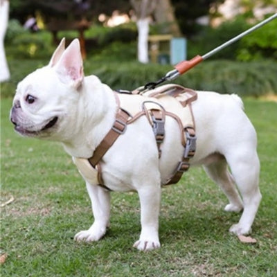 harnais-pour-chien