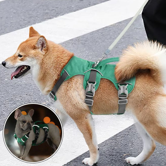 harnais-pour-chien