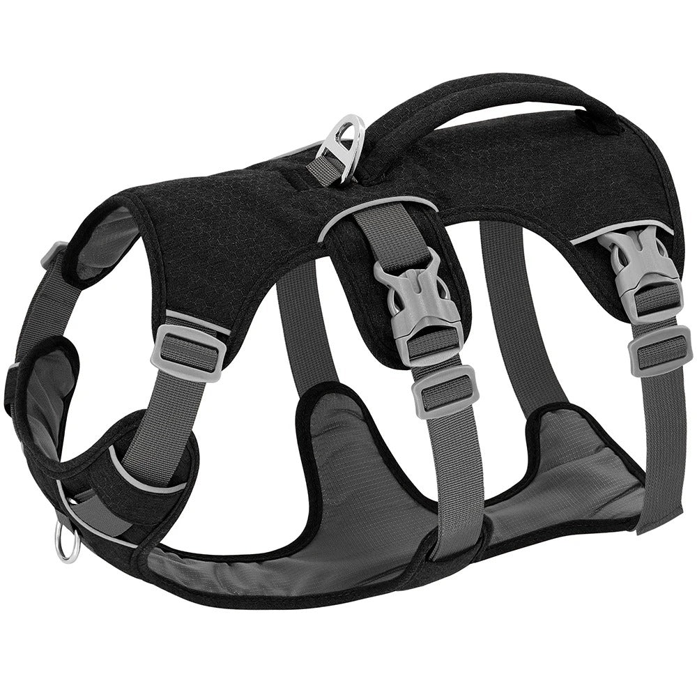 Harnais pour chien | Adventure+™