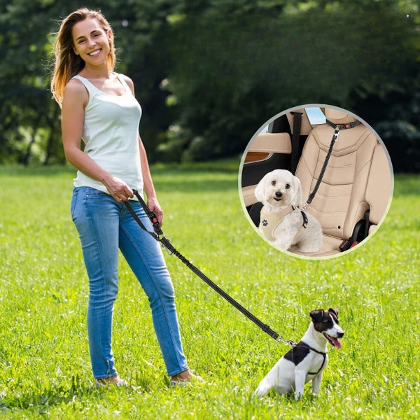 ceinture-voiture-chien
