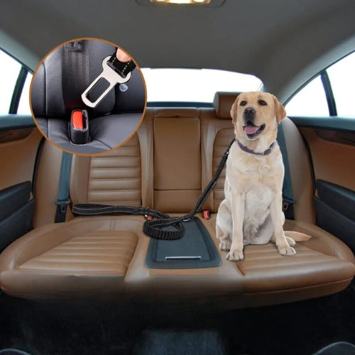 ceinture-de-sécurité-pour-chien