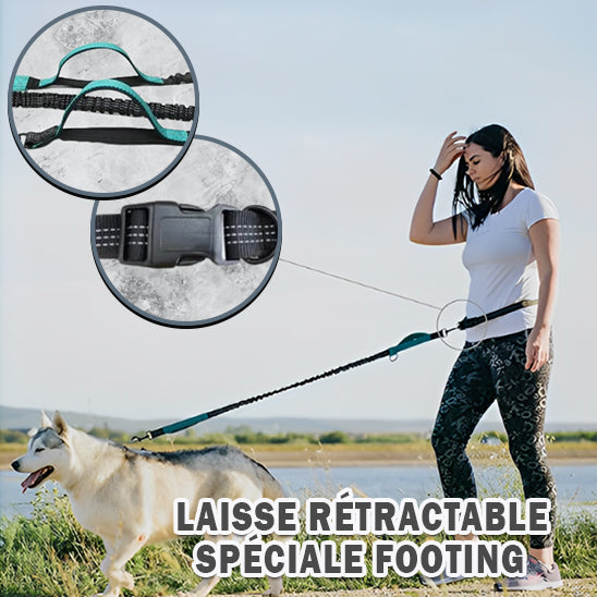 Laisse pour chien | SPORTILAISSE™