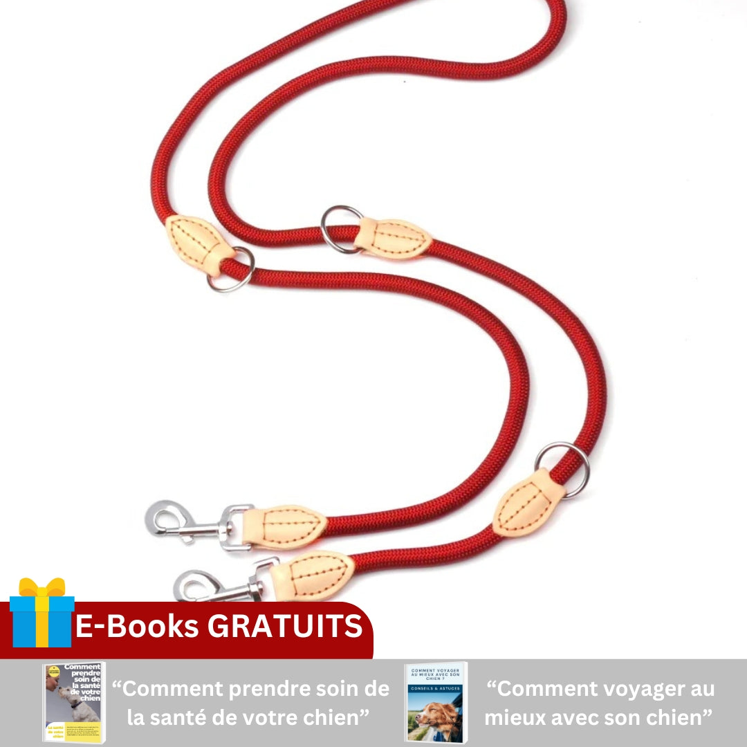 Laisse pour chien | DOGCADDY™