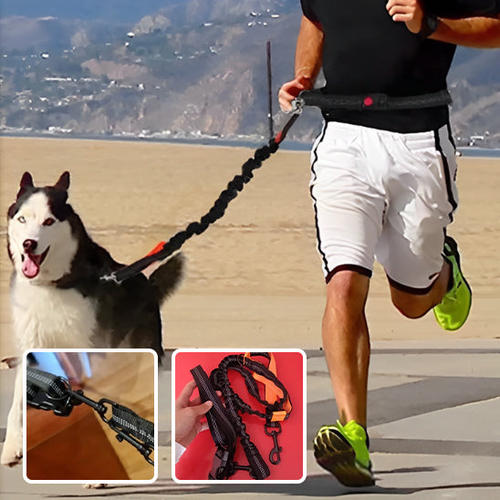 Laisse pour chien | SPORTILAISSE™