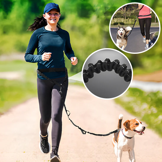 Laisse pour chien | SPORTILAISSE™