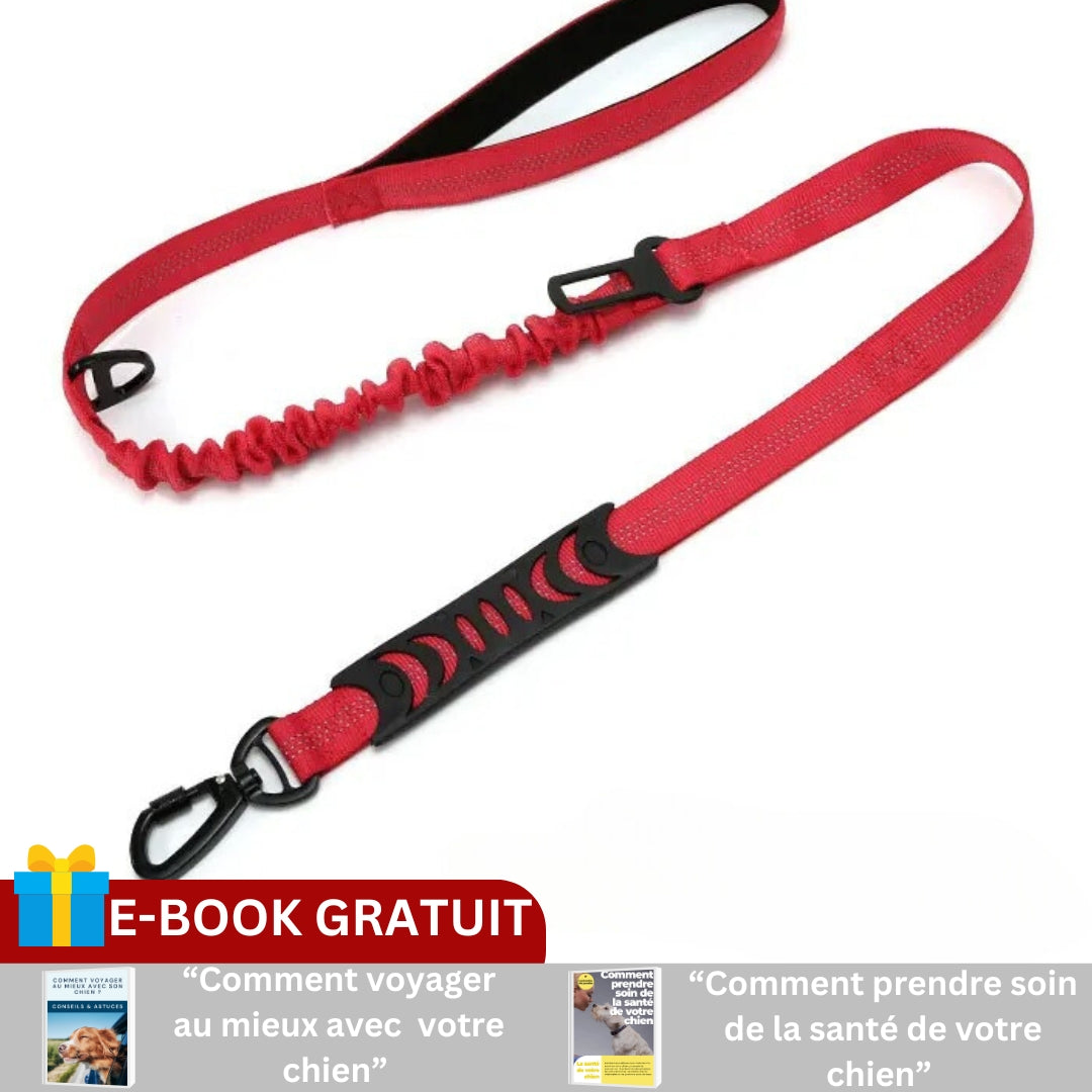 Laisse pour chien | SECURIFLEX™
