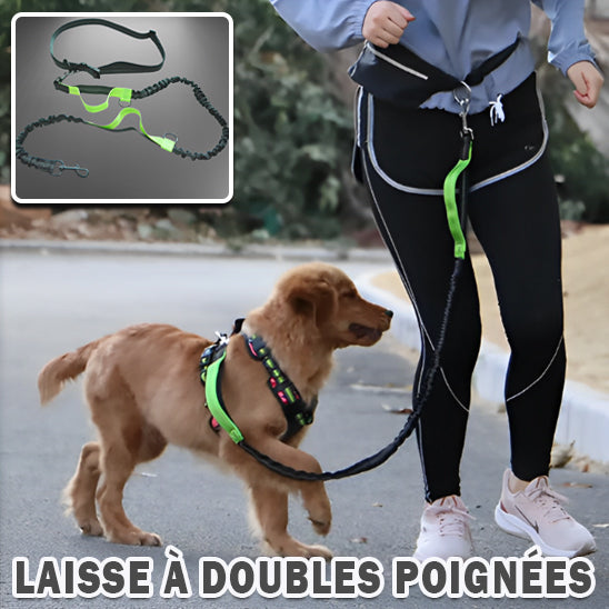 Laisse pour chien | SPORTILAISSE™