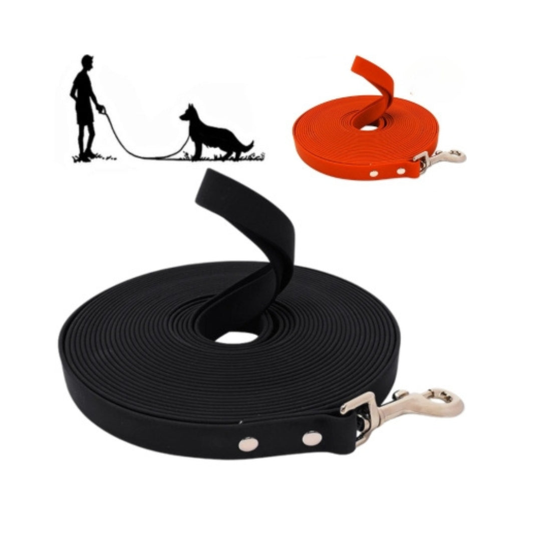 laisse-pour-chien