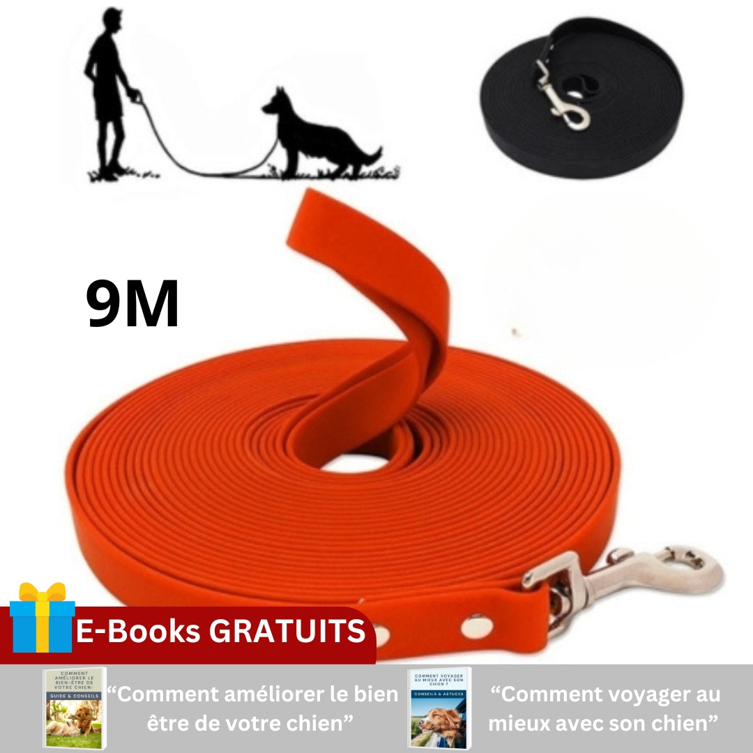 laisse-pour-chien