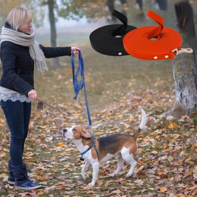 laisse-pour-chien