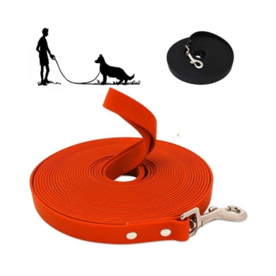laisse-pour-chien