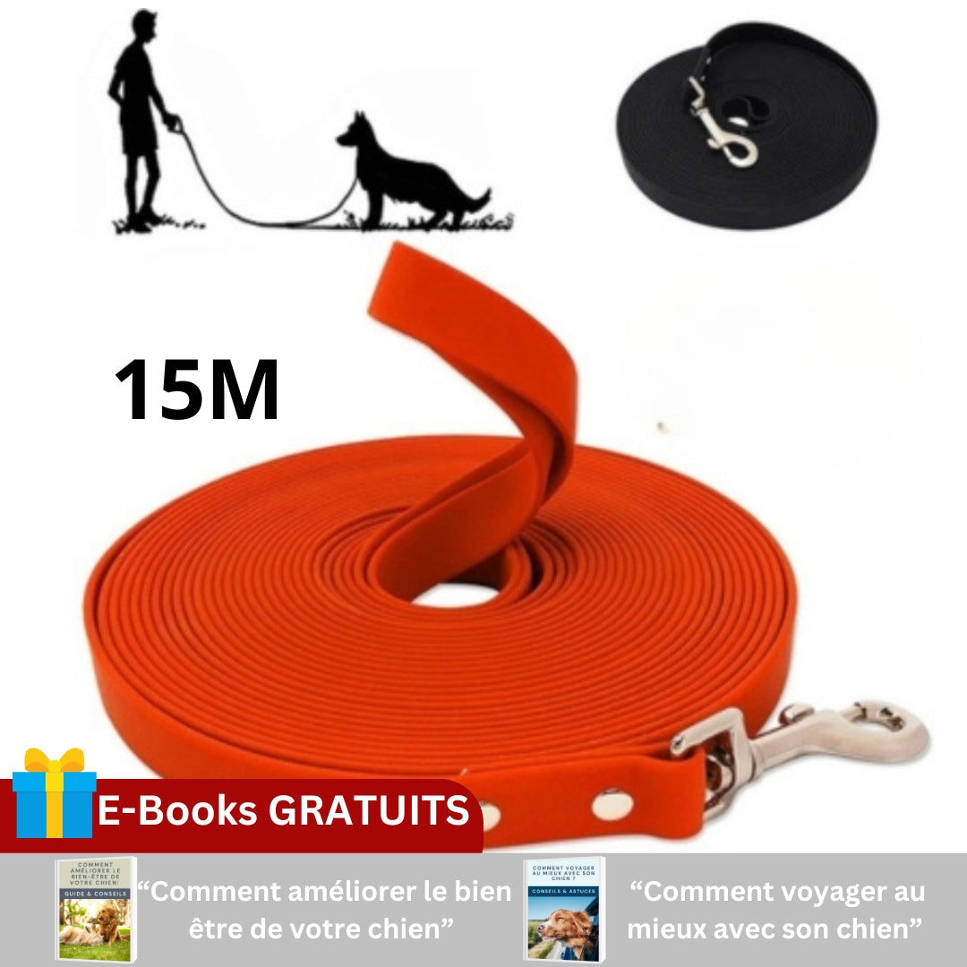 laisse-pour-chien