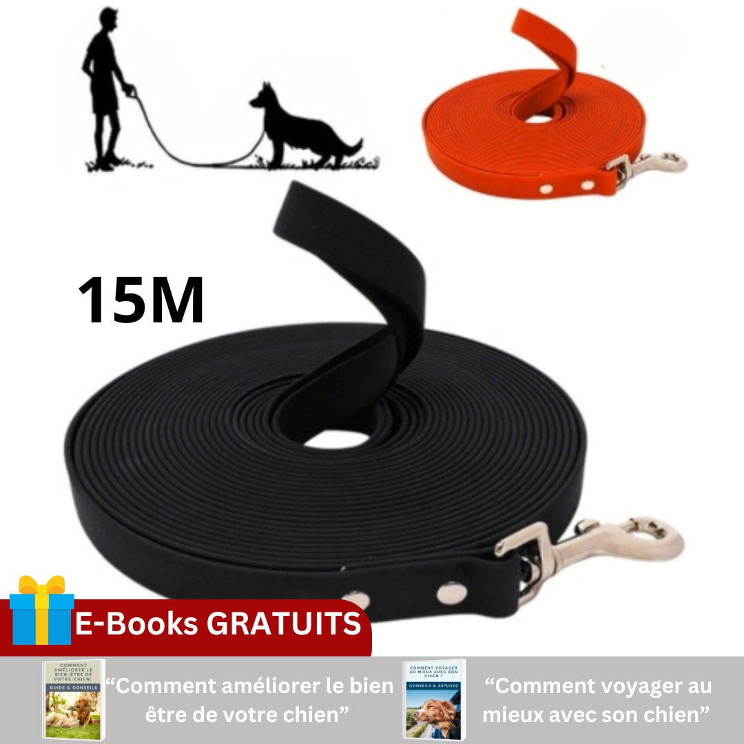 laisse-pour-chien