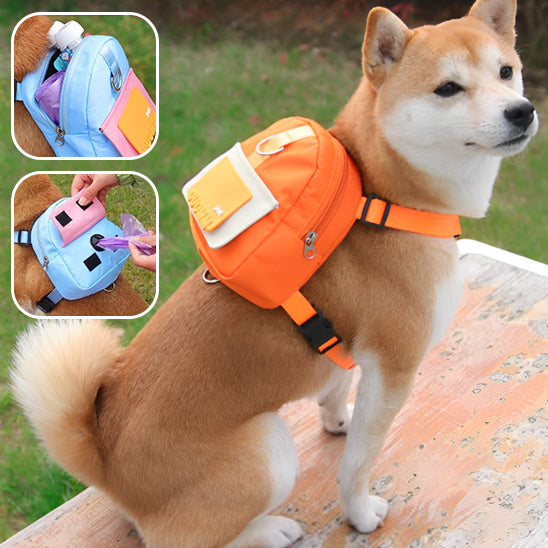 sac-a-dos-pour-chien