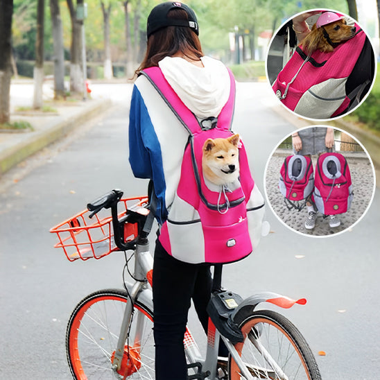 sac-de-transport-pour-chien