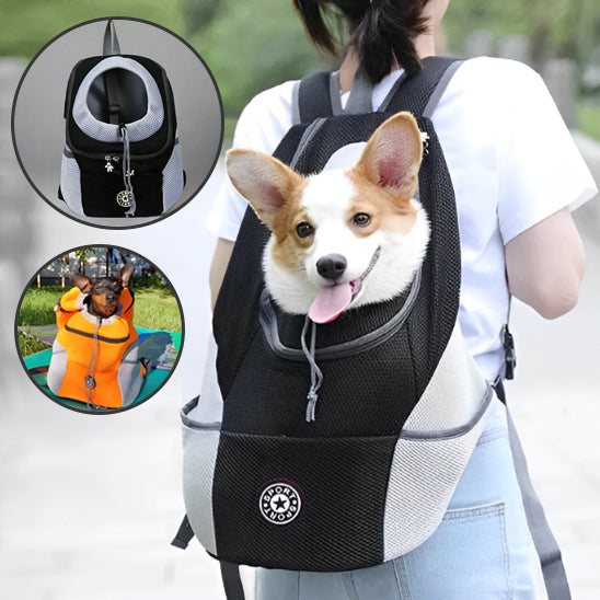sac-de-transport-pour-chien