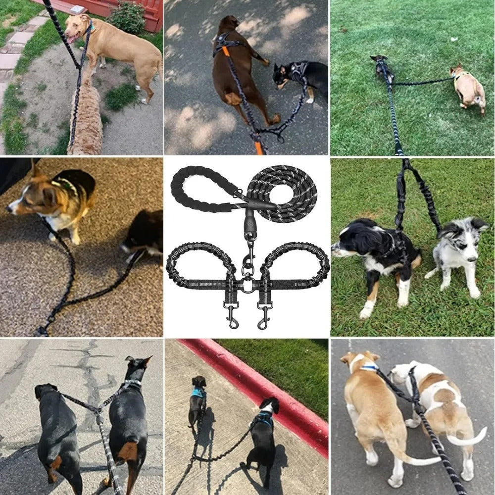 utilisation-de-la-laisse-pour-chien-double