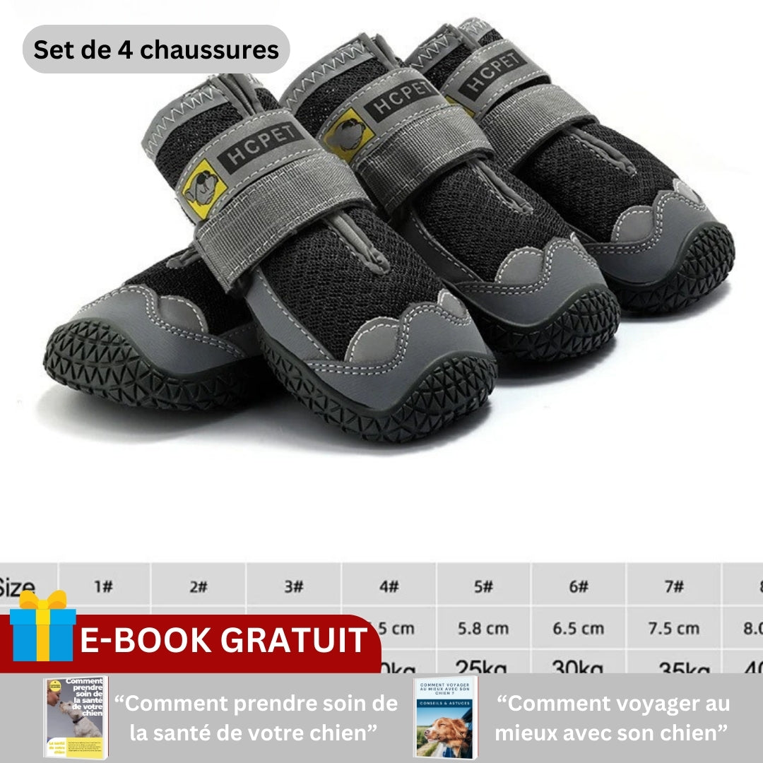 Chaussure pour chien | PODOGARDE™