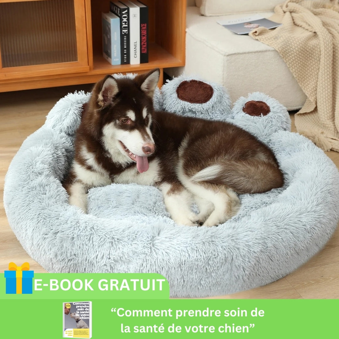 coussin-pour-chien