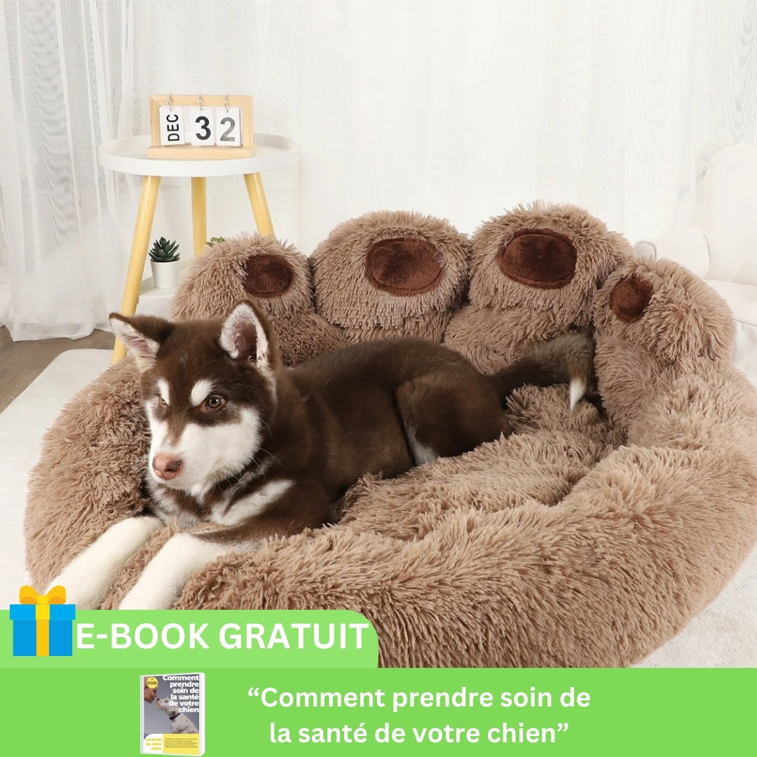 coussin-pour-chien