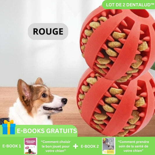 Jouet interactif pour chien Puff And Play Hangry Yak - Sherbrooke Canin