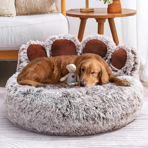 coussin-pour-chien