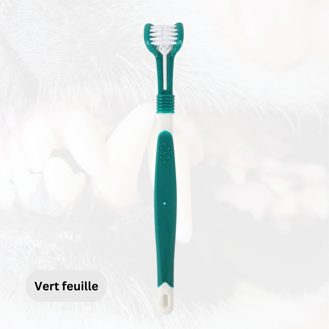 brosse-a-dent-pour-chien