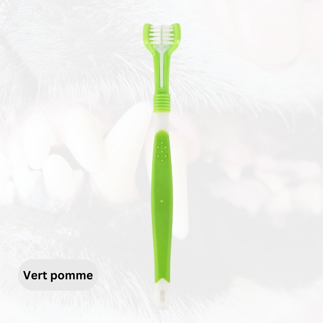 brosse-a-dent-pour-chien