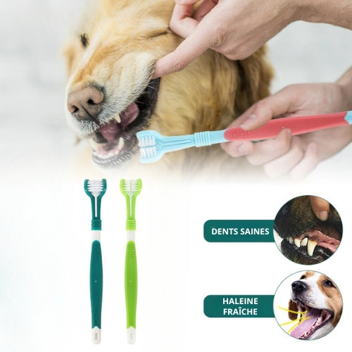 brosse-a-dent-pour-chien